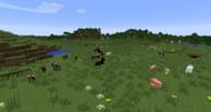 Plains biomes have plenty of room and a large amount of animal mobs (Image via Mojang)